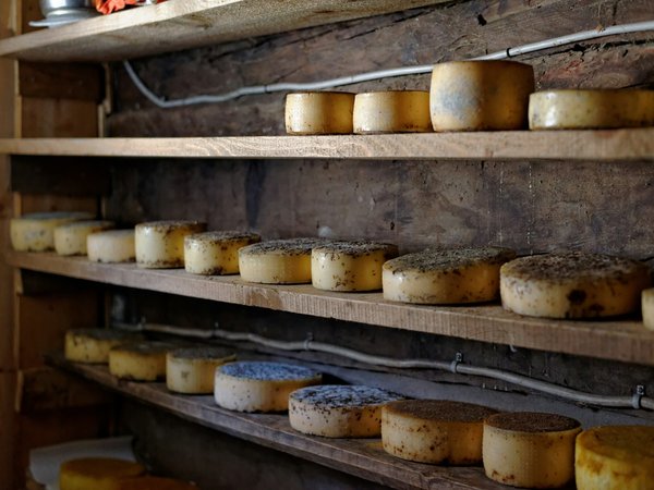 Où trouver des stages de fabrication de fromage en Normandie ?